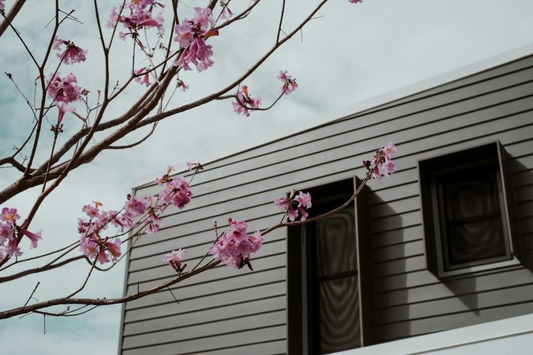 Heizungstipps für den Frühling - Darauf jetzt achten