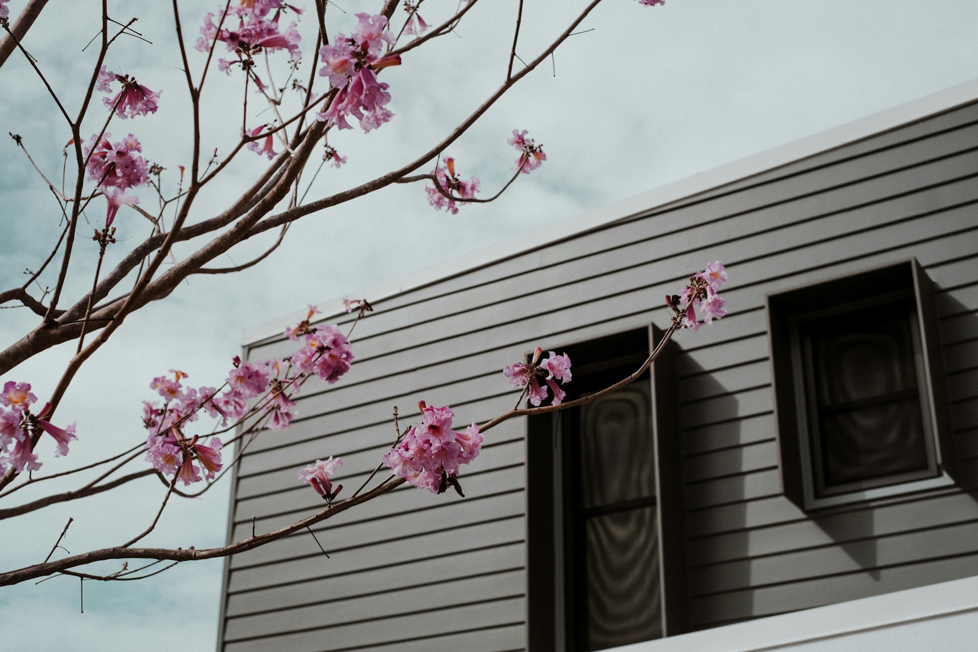 Heizungstipps für den Frühling - Darauf jetzt achten